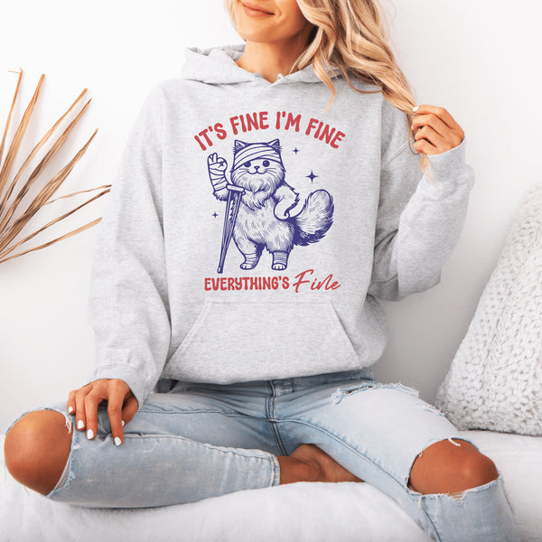 Because nothing says "I’ve got it together" like a cat on crutches with a bandaged head proclaiming, "It’s Fine. I’m Fine. Everything Is Fine."