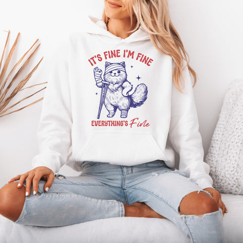 Because nothing says "I’ve got it together" like a cat on crutches with a bandaged head proclaiming, "It’s Fine. I’m Fine. Everything Is Fine."
