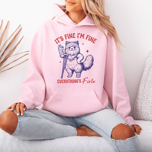 Because nothing says "I’ve got it together" like a cat on crutches with a bandaged head proclaiming, "It’s Fine. I’m Fine. Everything Is Fine."