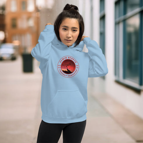 This unique hoodie features a mesmerizing graphic of the aurora borealis dancing across the night sky, with a majestic wolf howling at the moon, creating a sense of mystery and wonder.
