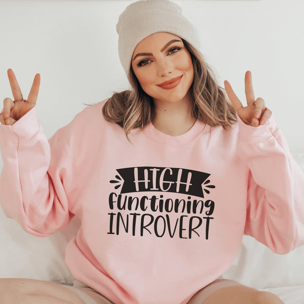 C & Win Sports High Functioning Introvert Sweatshirt S / Light Pink - C & Win Sports