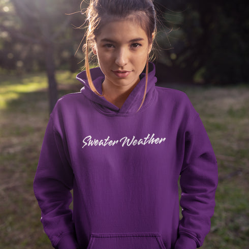 C & Win Sports Sweater Weather Hoodie Purple / S - C & Win Sports