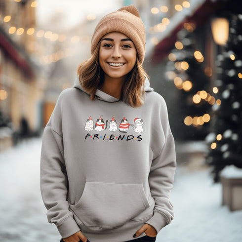 C & Win Sports Cat Friends Hoodie Ash / S - C & Win Sports