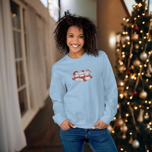 C & Win Sports Embroidered Christmas Cat Sweatshirt Light Blue / S - C & Win Sports