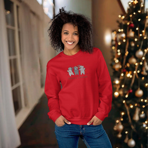 C & Win Sports Meowy Catmas Embroidered Sweatshirt Red / S - C & Win Sports
